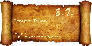 Ernyes Tibor névjegykártya